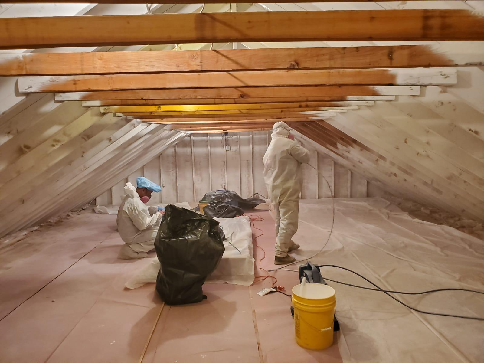 Attic Mold Remediation — Full PPE Containment